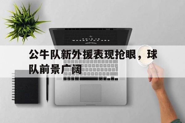公牛队新外援表现抢眼，球队前景广阔()